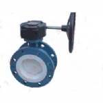 marine center type PTFE lining flange butterfly valve
